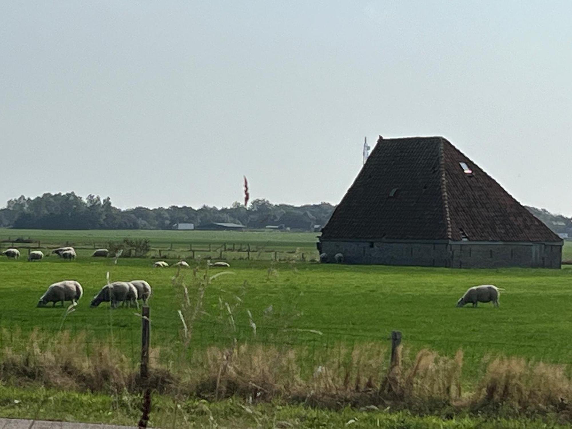 Gastsuite Het Duinroosje Met Hottub Op Het Prive Terras! Den Burg Bagian luar foto